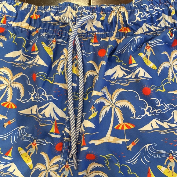 TAILORBYRD Men’s Blue Hawaiian Surfer Brief Lined 7" Swim Shorts Size Medium - Picture 2 of 10